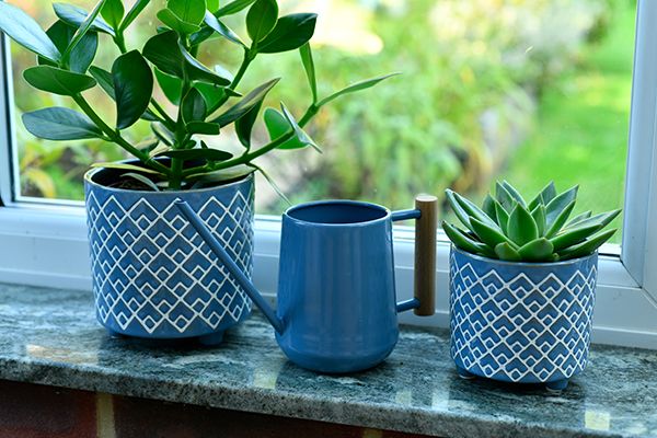 New indoor plant pots by Burgon & Ball